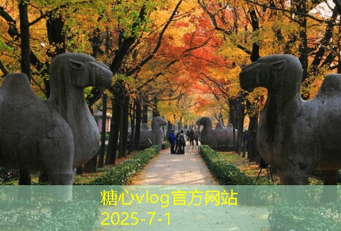 不想拍婚纱照你并不孤单这三种理由或许能打破你的顾虑