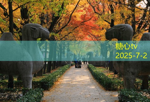 下雨天拍婚纱照为何成为新潮流？不可忽视的魅力与技巧