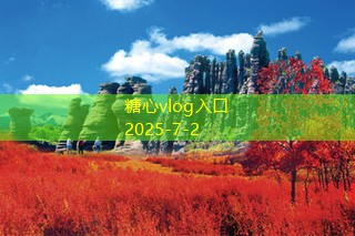 什么软件可以拍婚纱照，助你轻松记录美好时刻