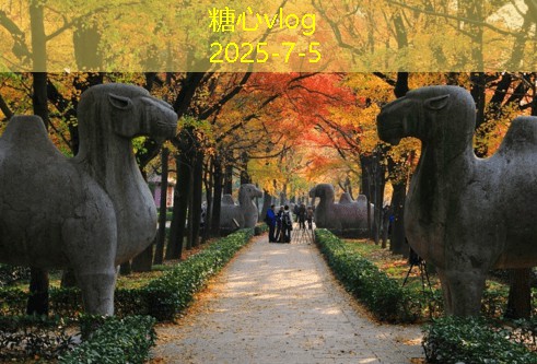 一般拍婚纱照多少钱 价格差异与选择攻略