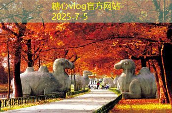 三亚婚纱旅拍：浪漫与自然完美融合的婚纱摄影之选
