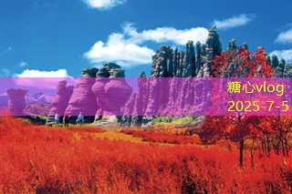上海拍婚纱照多少钱 影响价格的因素分析及选择建议