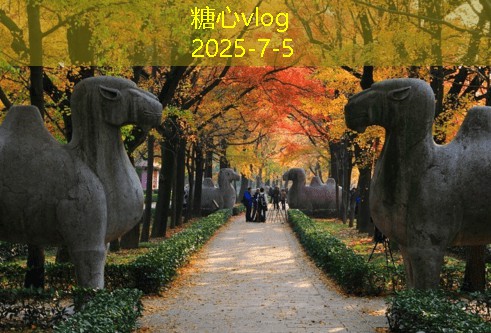 伯爵婚纱旅拍：让你实现梦幻婚礼与独特旅程的完美结合