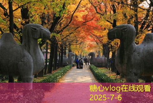 上海拍婚纱照多少钱 影响价格的因素分析及选择建议