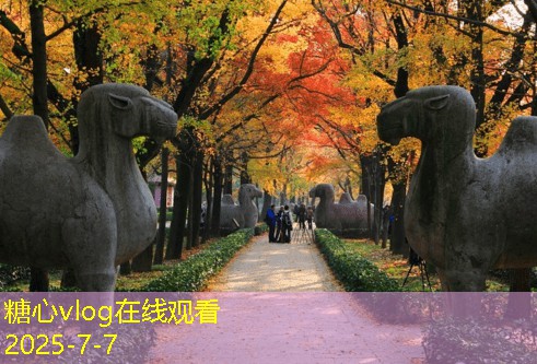 三亚婚纱摄影攻略让你的婚纱照更有质感