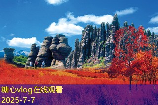 三亚旅拍婚纱摄影：与爱同行，感受浪漫海岸的魅力