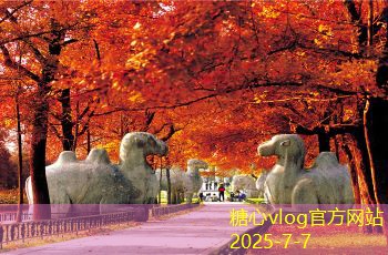 三亚旅拍婚纱照攻略，如何打造完美婚纱照体验