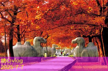 丽江婚纱旅拍带你走进梦幻的婚礼时光