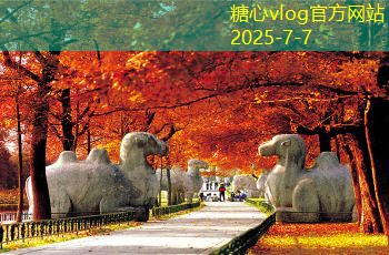全球旅拍婚纱让你的婚礼回忆更加美丽