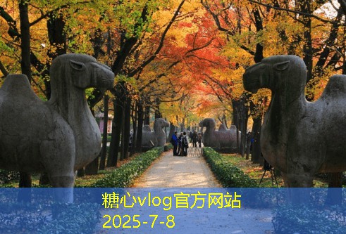 三亚旅拍婚纱照推荐，完美定格你们的浪漫瞬间