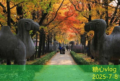 上海拍婚纱照多少钱 影响价格的因素分析及选择建议