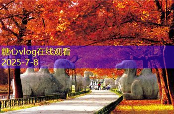 东莞拍婚纱照多少钱才算合理实惠