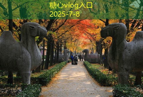 全球婚纱摄影旅拍让你的婚礼更具浪漫色彩