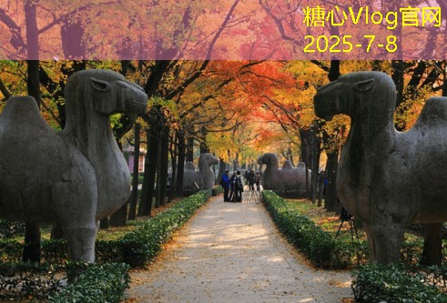 丽江旅拍婚纱如何选择最美拍摄地点